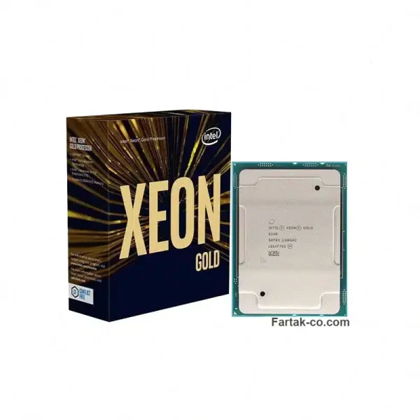 Gold 6240 02