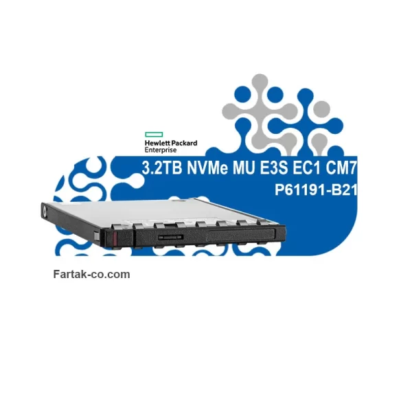 P61191 B21