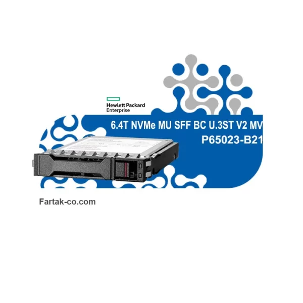 P65023 B21